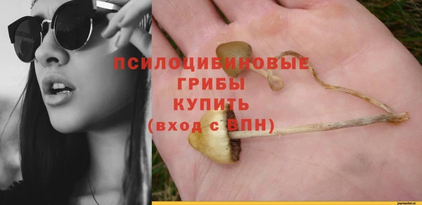 а пвп мука Арсеньев