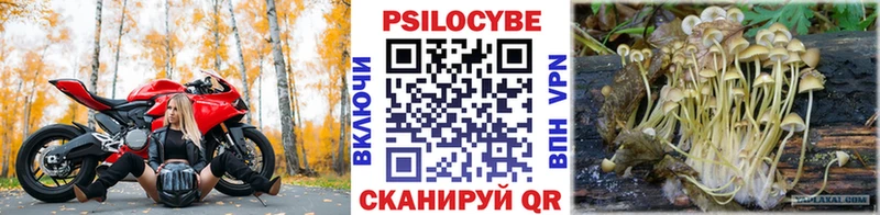 Псилоцибиновые грибы Magic Shrooms  Нязепетровск 